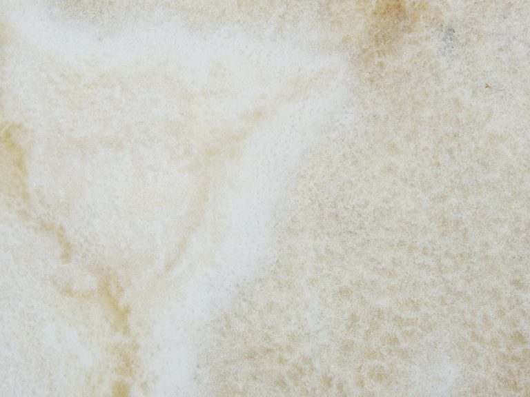 Lastra di onice Miele