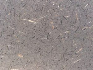 Lastra di granito nero Black Ice