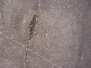 Atlantic Stone