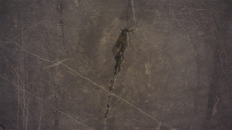 Lastra di pietra naturale Atlantic Stone
